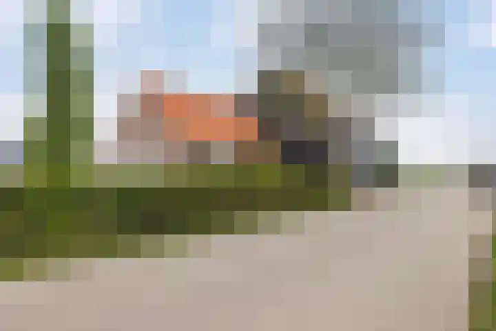 Lindtsedijk 103 Heerjansdam thumbnail 68