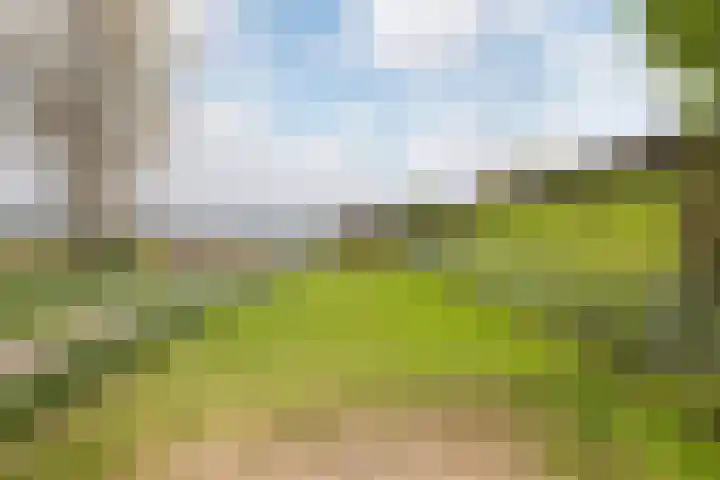 Lindtsedijk 103 Heerjansdam thumbnail 69
