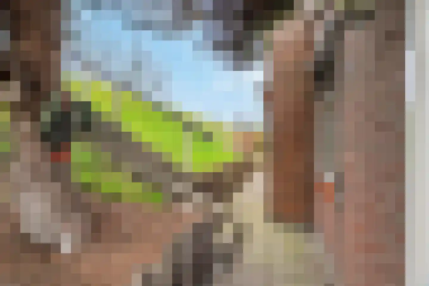 Lindtsedijk 23 Heerjansdam thumbnail 4