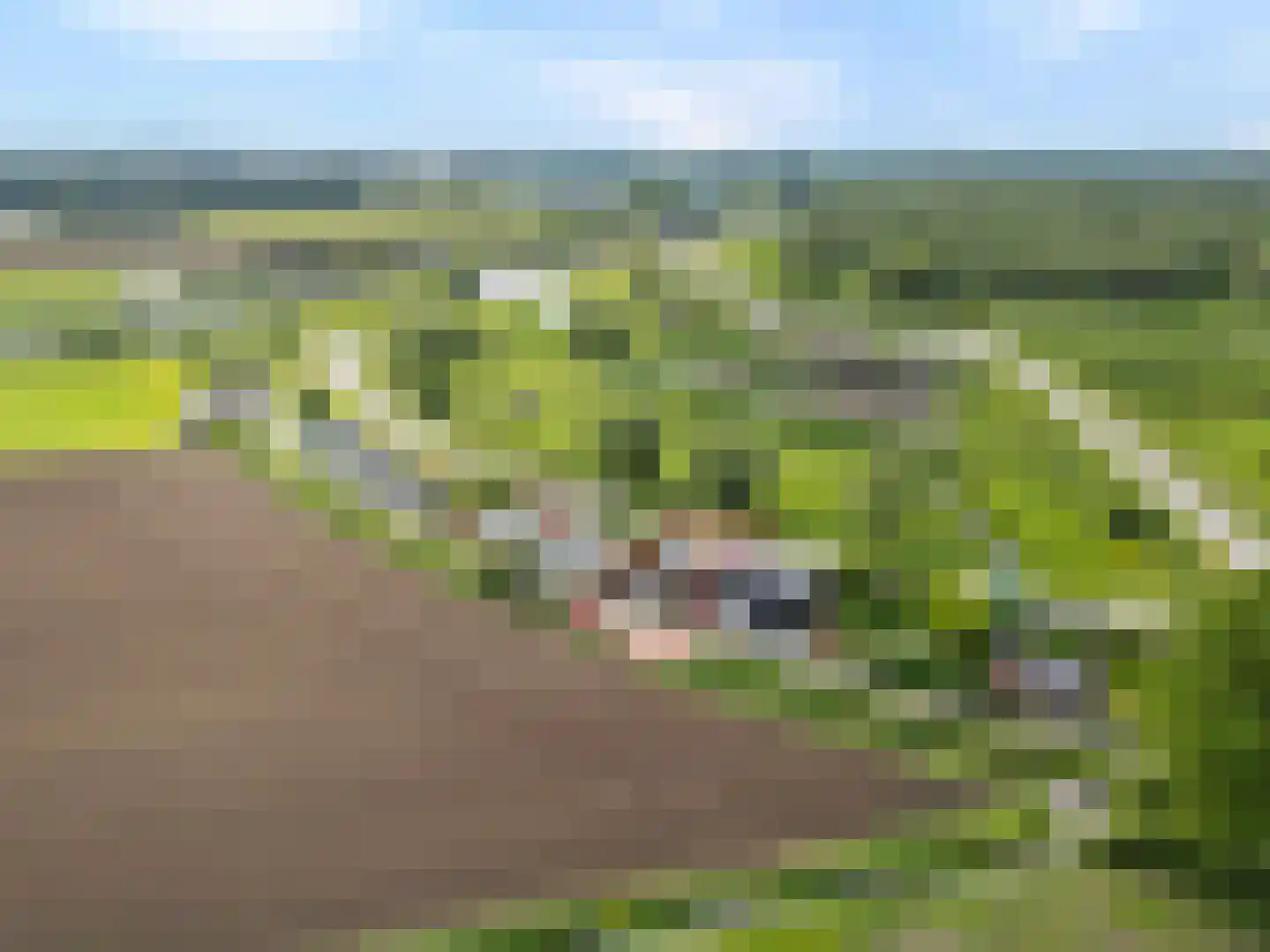 Lindtsedijk 275 Zwijndrecht thumbnail 27