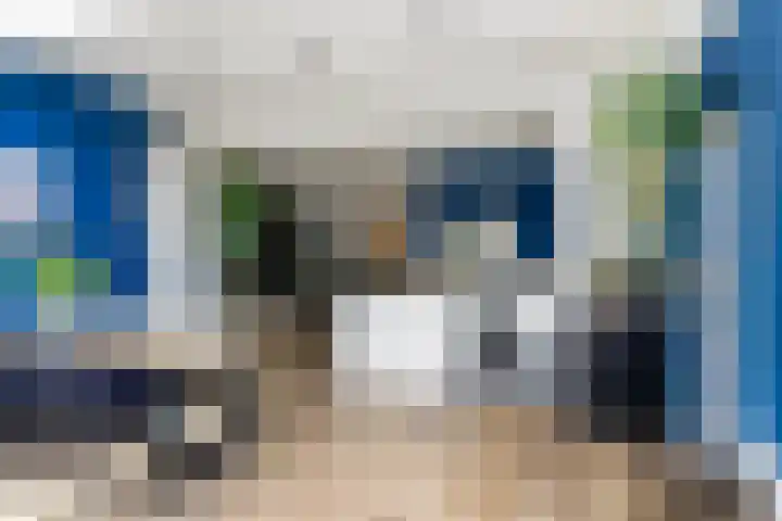 Linebeamleane 16 Stiens thumbnail 18