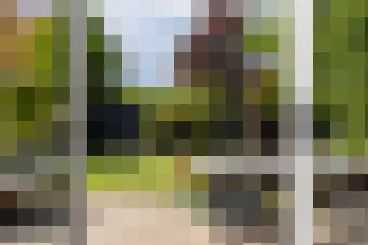 Linebeamleane 16 Stiens thumbnail 23