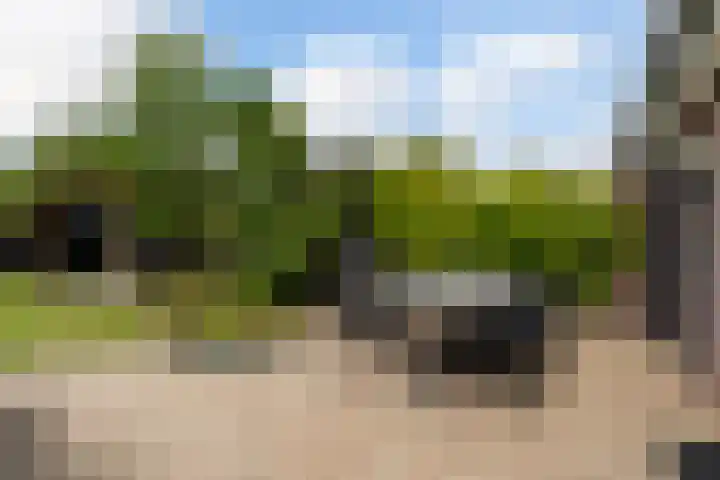 Linebeamleane 16 Stiens thumbnail 25