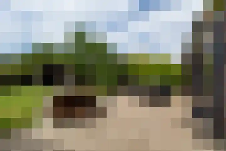 Linebeamleane 16 Stiens thumbnail 26