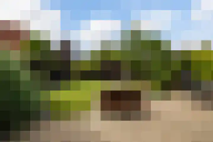 Linebeamleane 16 Stiens thumbnail 27