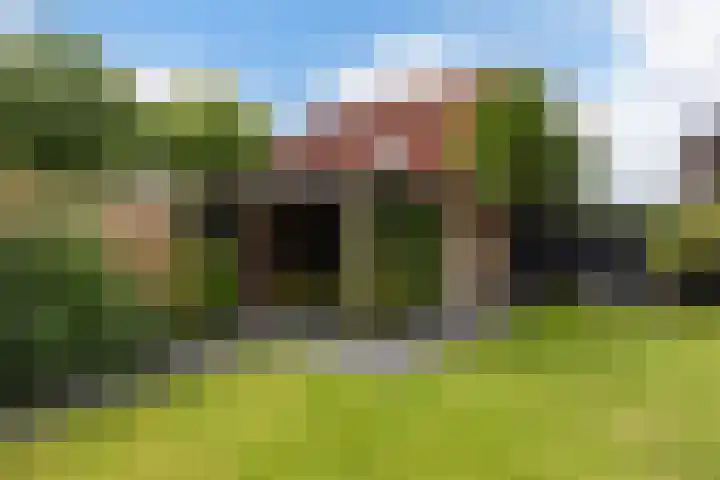 Linebeamleane 16 Stiens thumbnail 28
