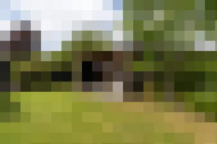 Linebeamleane 16 Stiens thumbnail 29