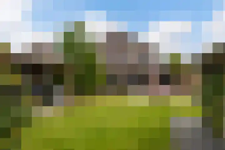 Linebeamleane 16 Stiens thumbnail 30