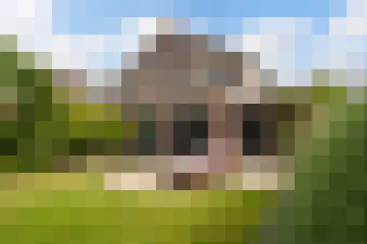 Linebeamleane 16 Stiens thumbnail 31