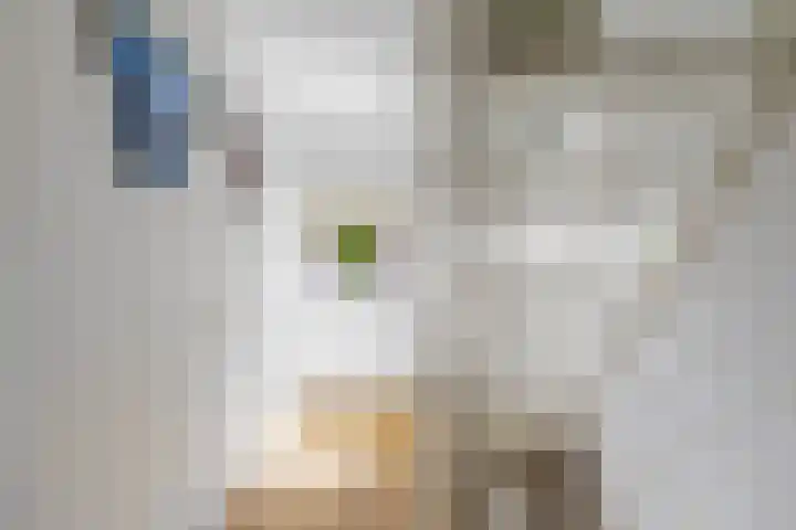 Linebeamleane 16 Stiens thumbnail 34