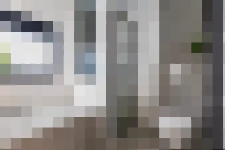 Linebeamleane 16 Stiens thumbnail 38