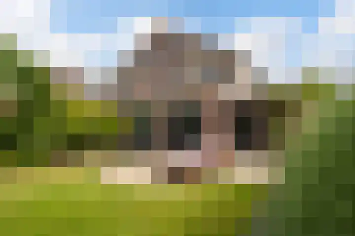 Linebeamleane 16 Stiens thumbnail 4