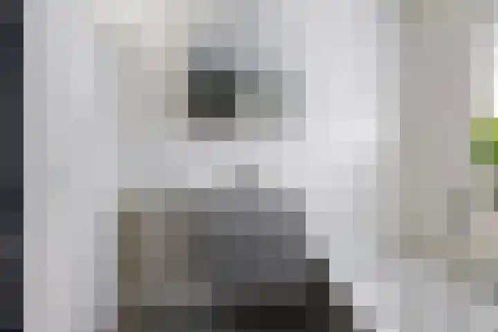 Linebeamleane 16 Stiens thumbnail 41