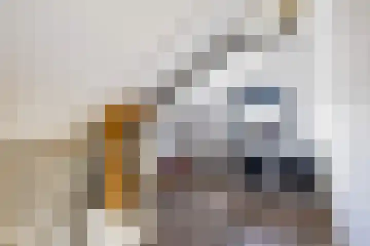 Linebeamleane 16 Stiens thumbnail 47