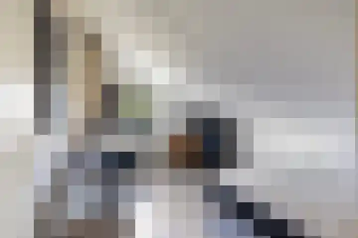 Linebeamleane 16 Stiens thumbnail 49