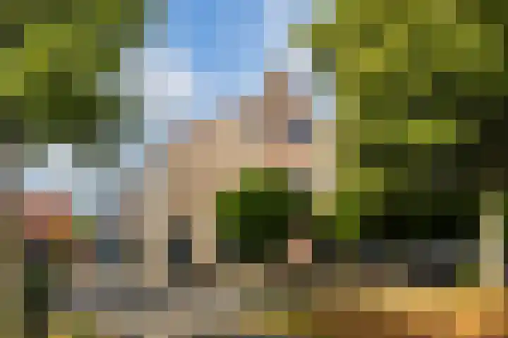 Linebeamleane 16 Stiens thumbnail 5