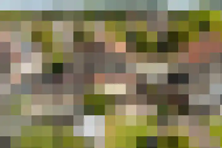 Linebeamleane 16 Stiens thumbnail 51