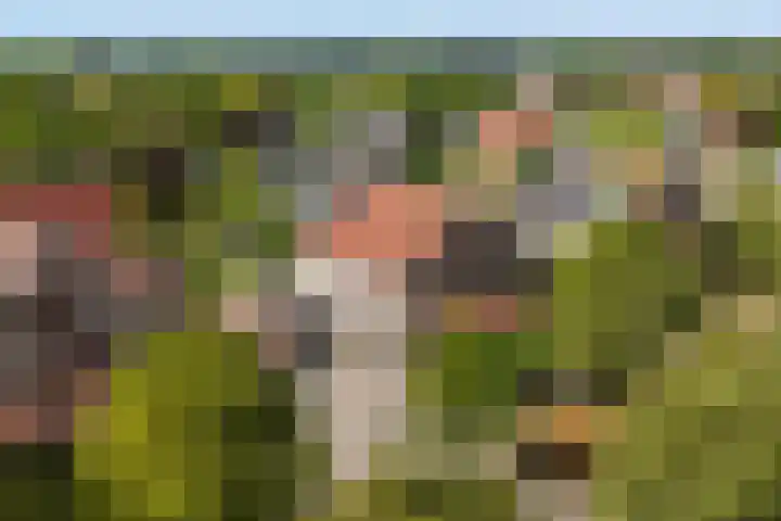 Linebeamleane 16 Stiens thumbnail 56