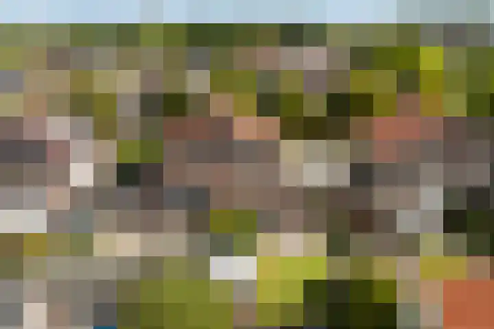Linebeamleane 16 Stiens thumbnail 57
