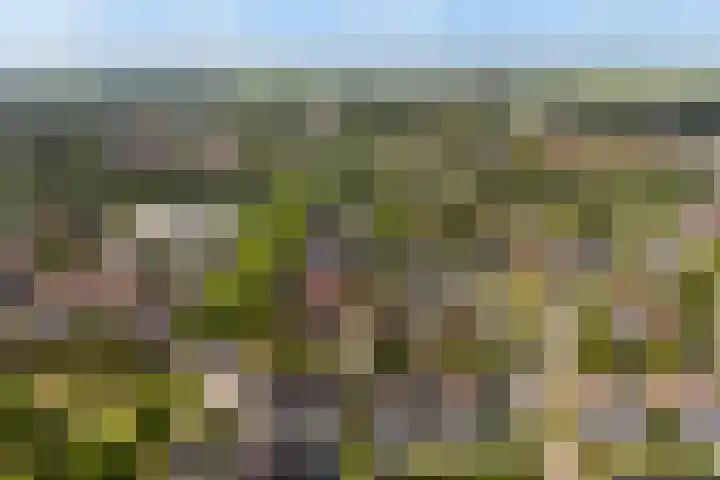 Linebeamleane 16 Stiens thumbnail 58