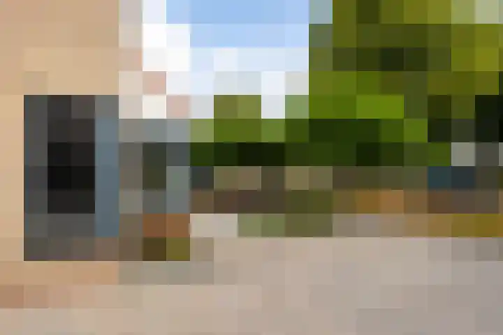 Linebeamleane 16 Stiens thumbnail 6