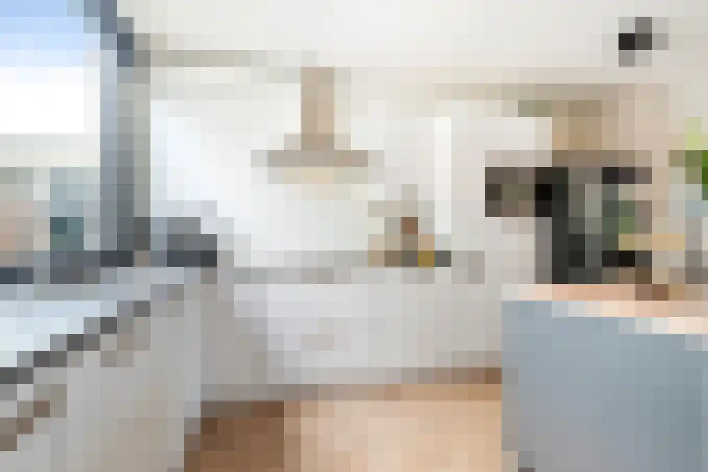 Linge 10 Heemstede thumbnail 17
