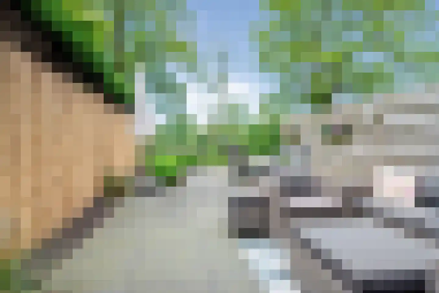Linge 10 Heemstede thumbnail 7
