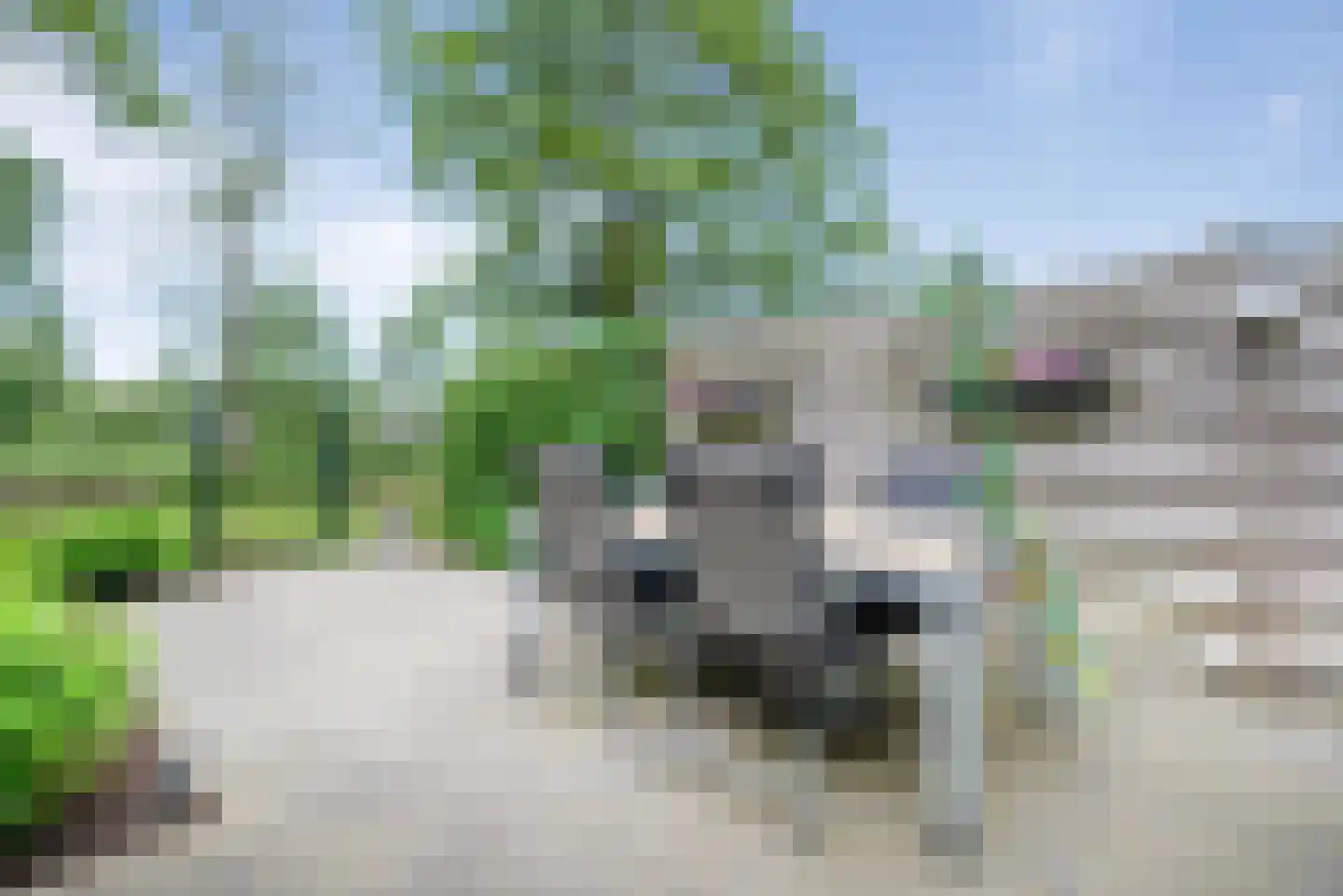 Linge 10 Heemstede thumbnail 8