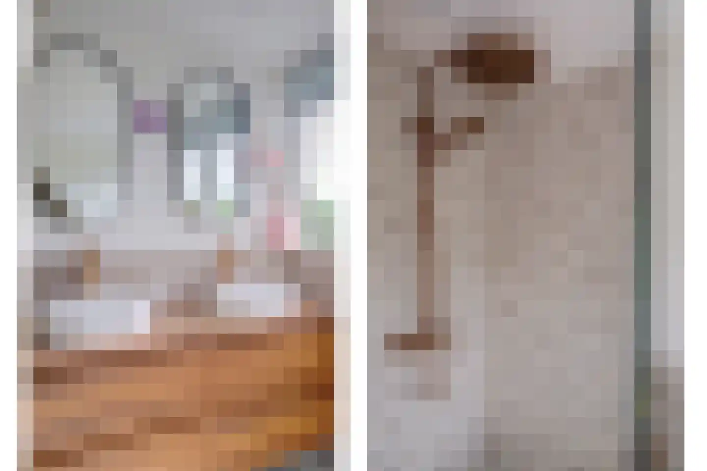 Linge 10 Wijk bij Duurstede thumbnail 29