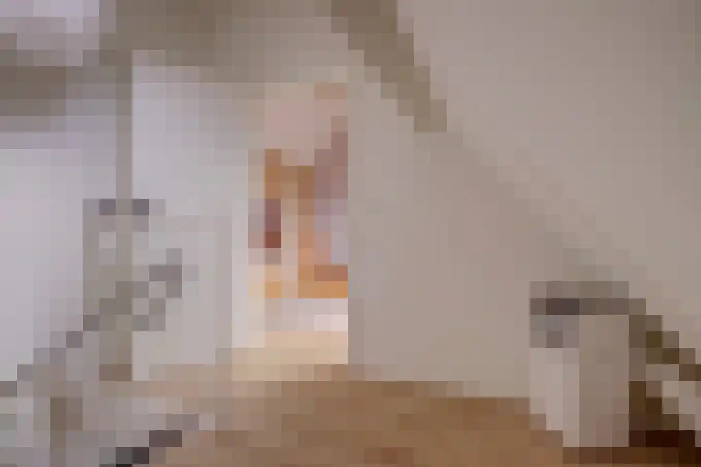 Linge 10 Wijk bij Duurstede thumbnail 32