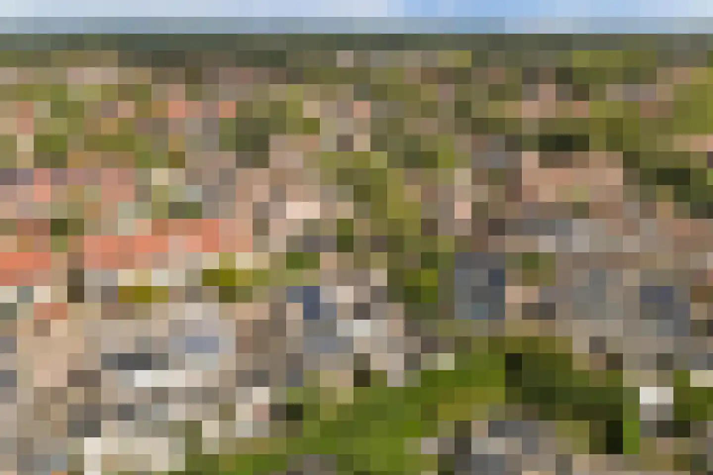 Linge 10 Wijk bij Duurstede thumbnail 42