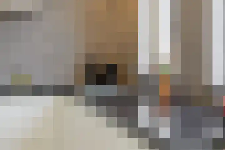 Linge 17 Deurne thumbnail 10