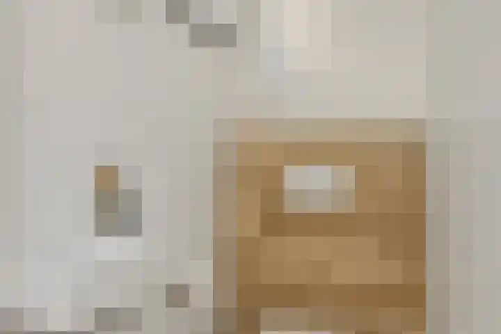 Linge 17 Deurne thumbnail 12