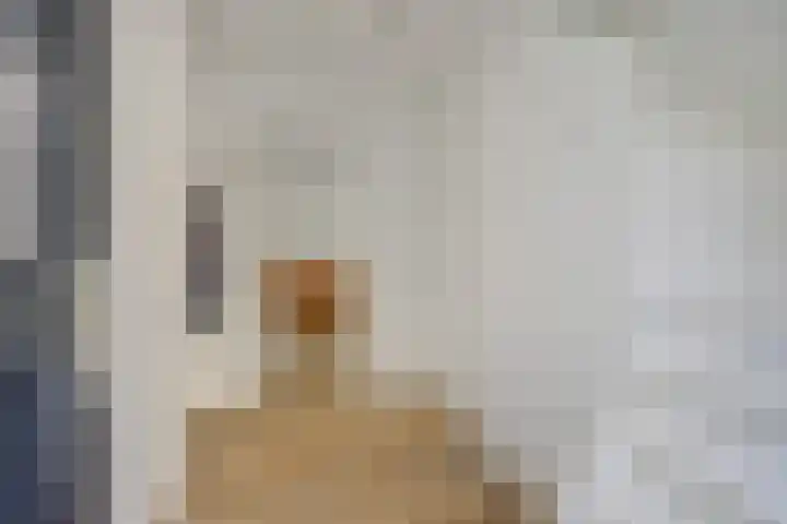 Linge 17 Deurne thumbnail 14