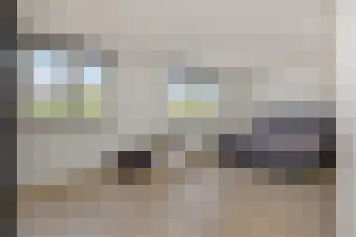 Linge 17 Deurne thumbnail 15