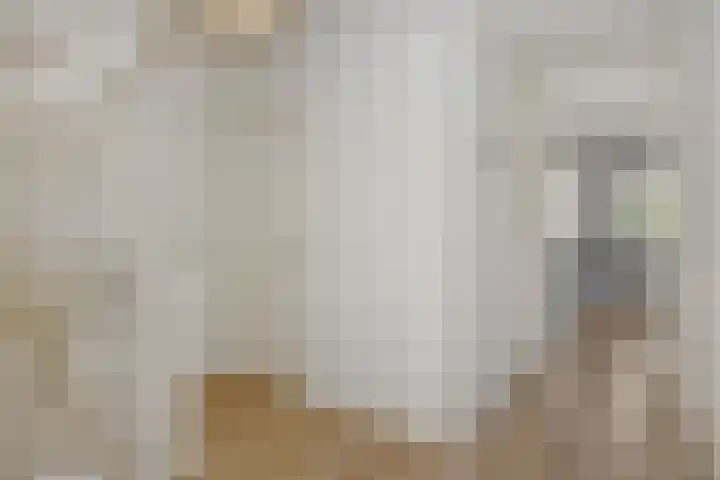 Linge 17 Deurne thumbnail 24