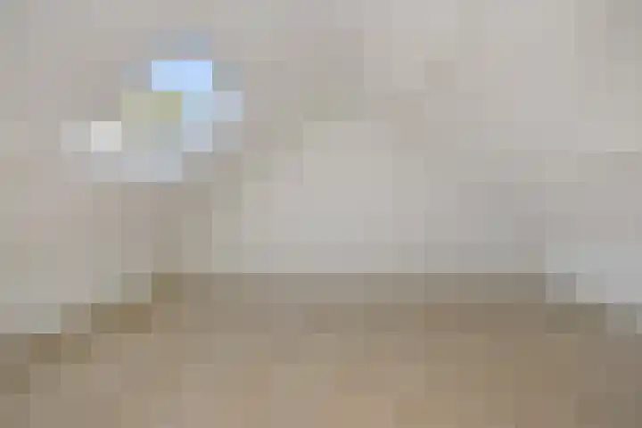 Linge 17 Deurne thumbnail 27