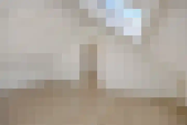 Linge 17 Deurne thumbnail 28