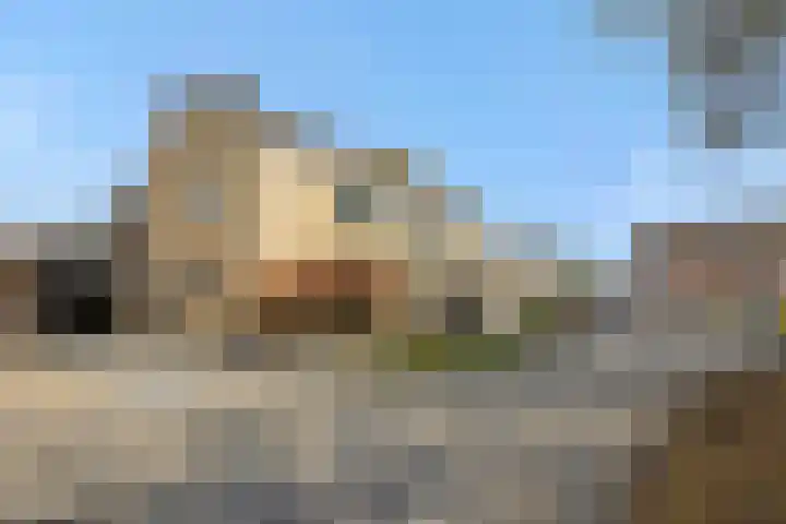 Linge 17 Deurne thumbnail 29