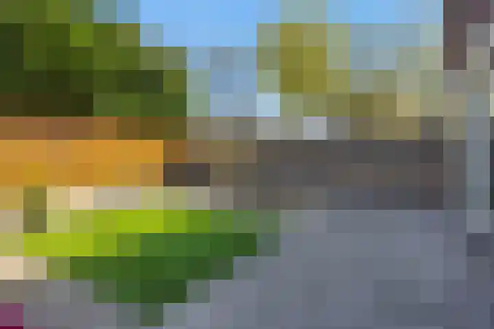 Linge 17 Deurne thumbnail 34