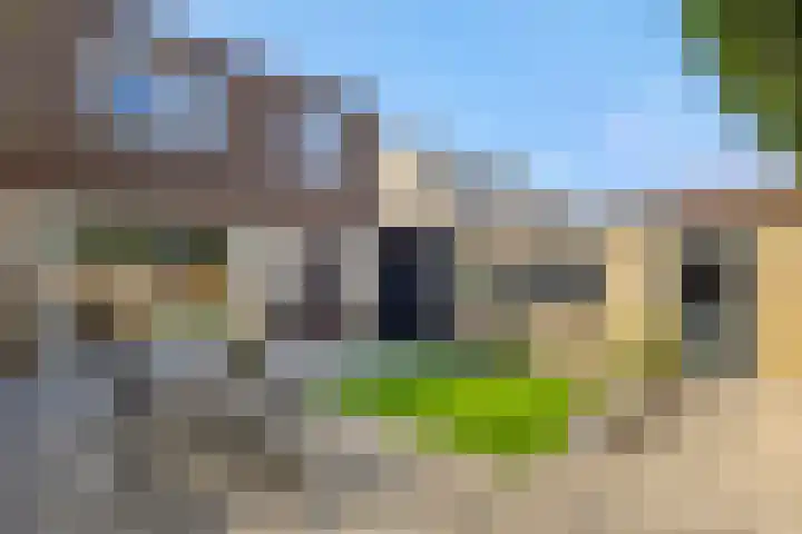 Linge 17 Deurne thumbnail 36