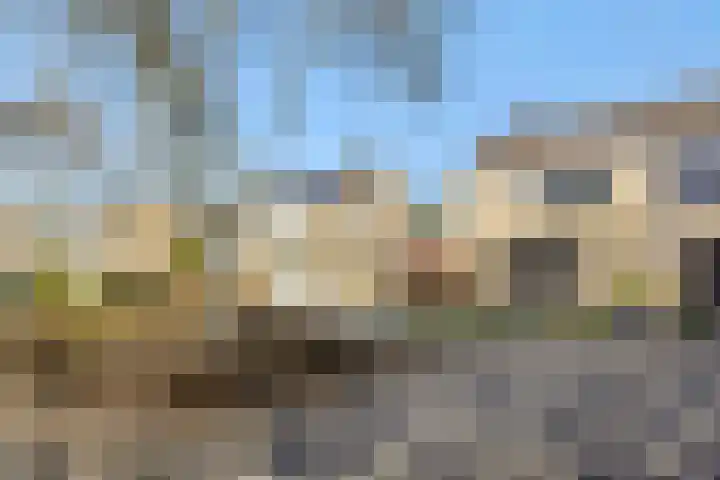 Linge 17 Deurne thumbnail 38