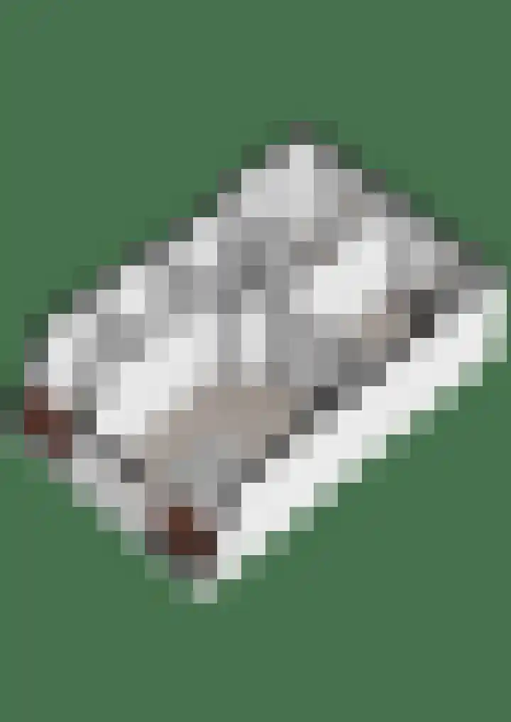 Linge 17 Deurne thumbnail 40