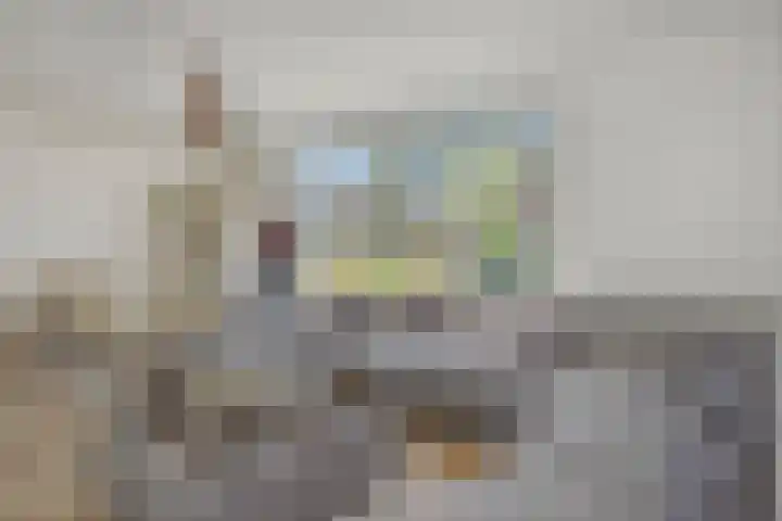 Linge 17 Deurne thumbnail 5