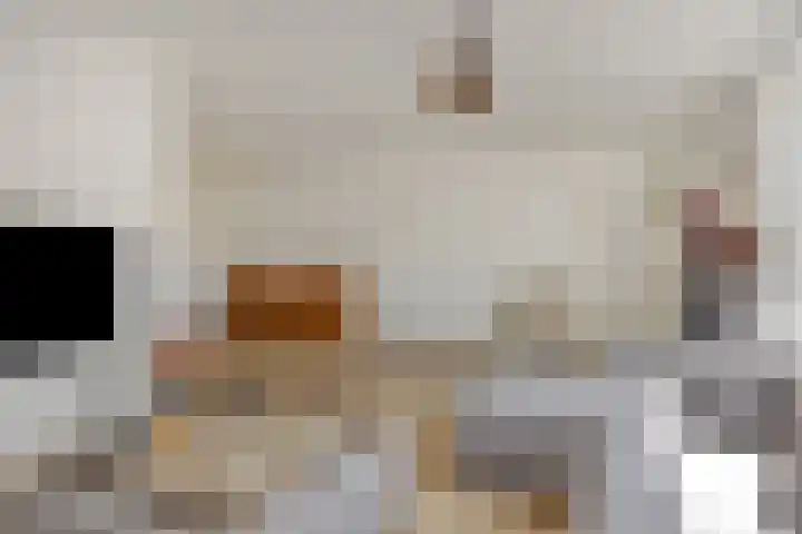 Linge 17 Deurne thumbnail 6