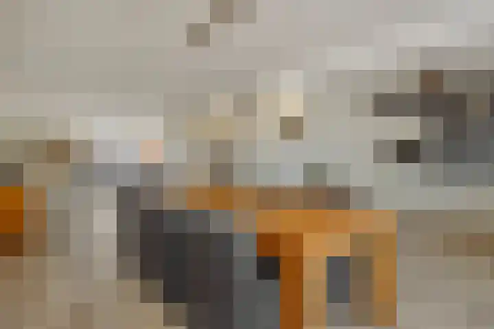 Linge 17 Deurne thumbnail 8