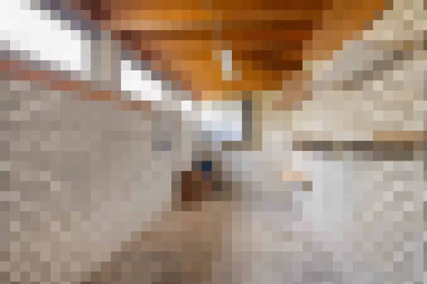 Linge 19 Tilburg thumbnail 33