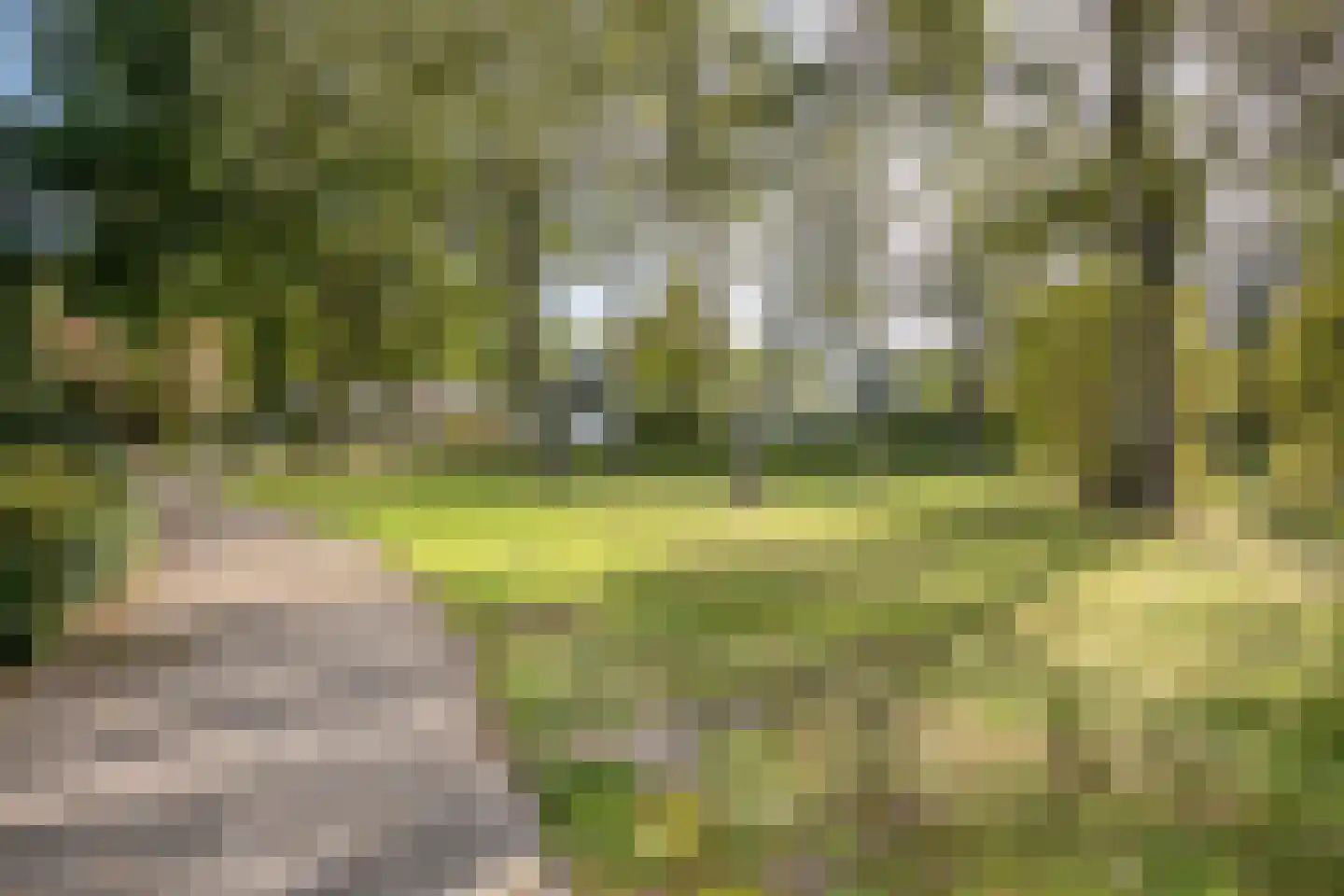 Linge 19 Tilburg thumbnail 34