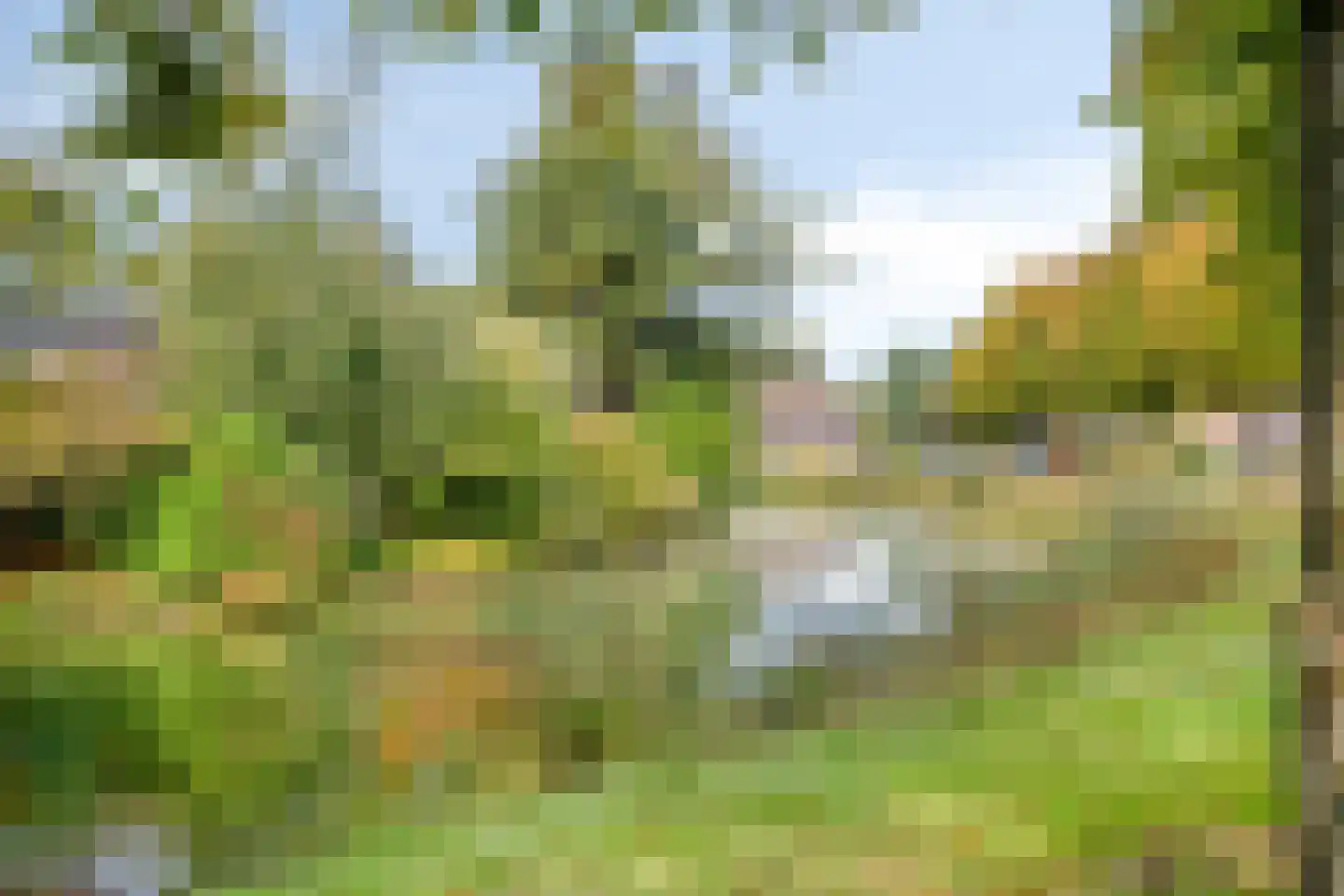 Linge 19 Tilburg thumbnail 36