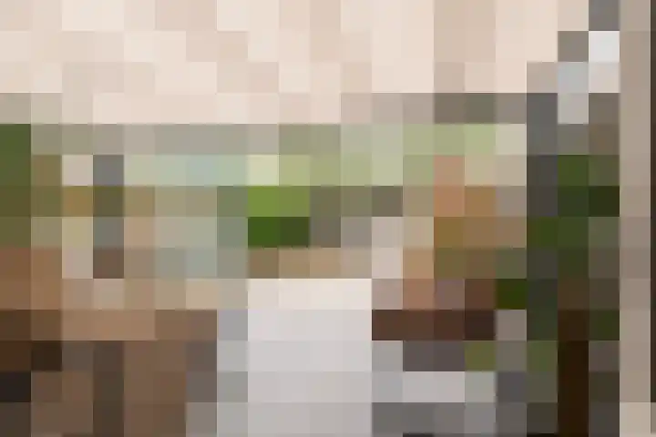 Linge 29 Wijk bij Duurstede thumbnail 13